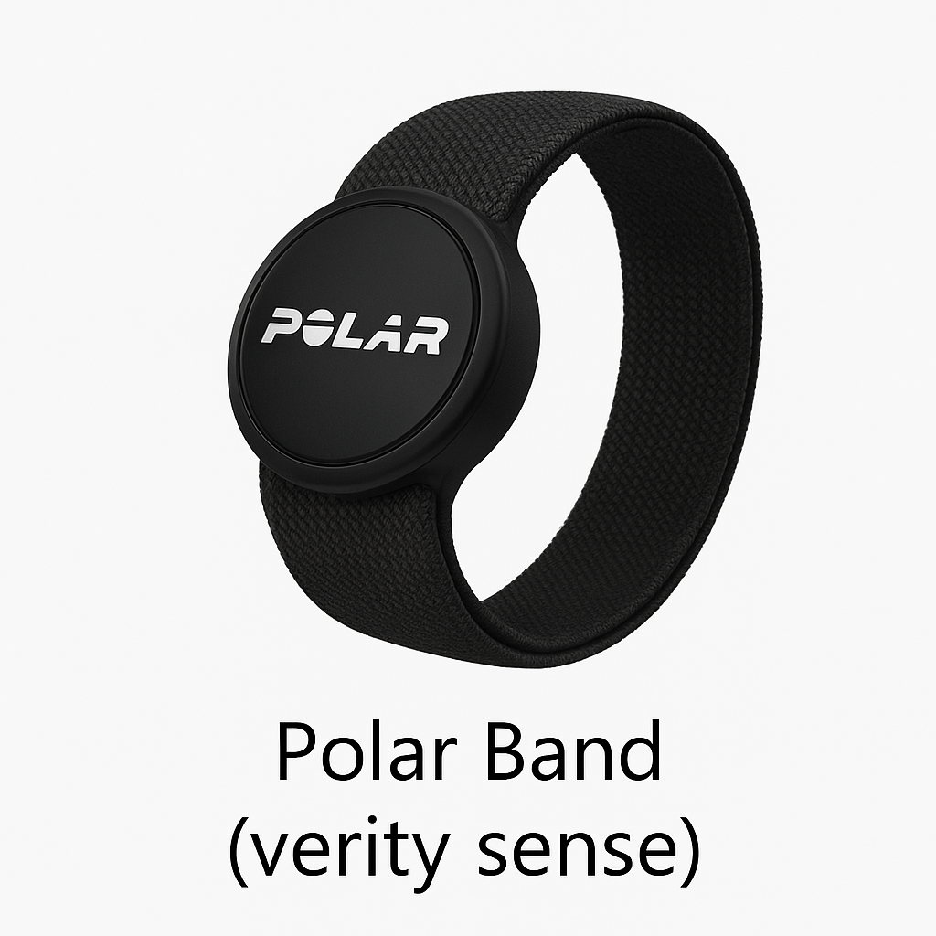 Polar Band (Verity Sense)